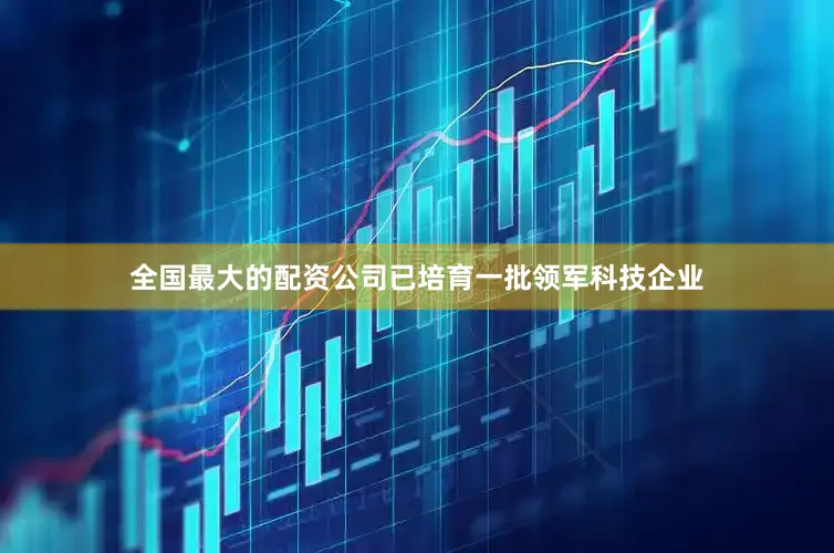 全国最大的配资公司已培育一批领军科技企业