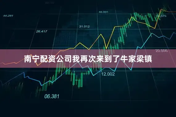南宁配资公司我再次来到了牛家梁镇