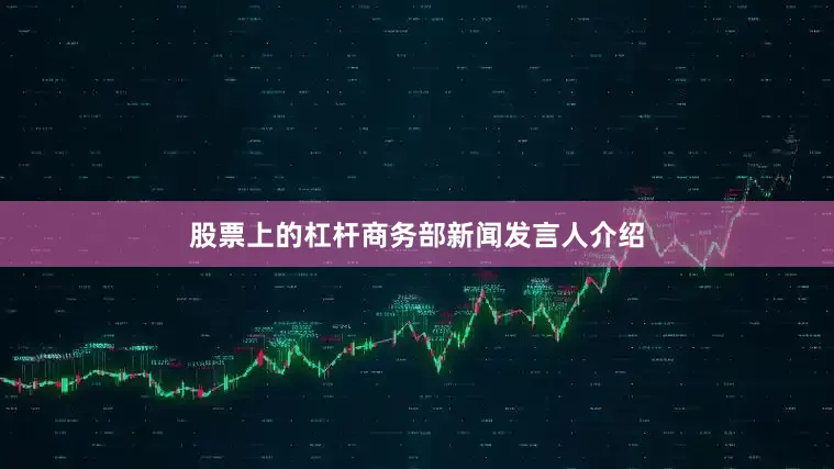 股票上的杠杆商务部新闻发言人介绍