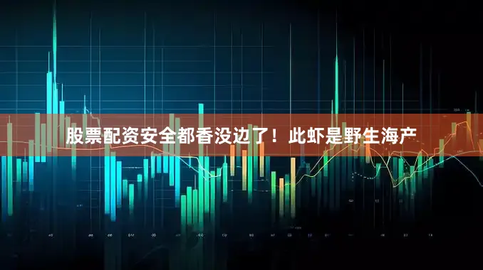 股票配资安全都香没边了！此虾是野生海产